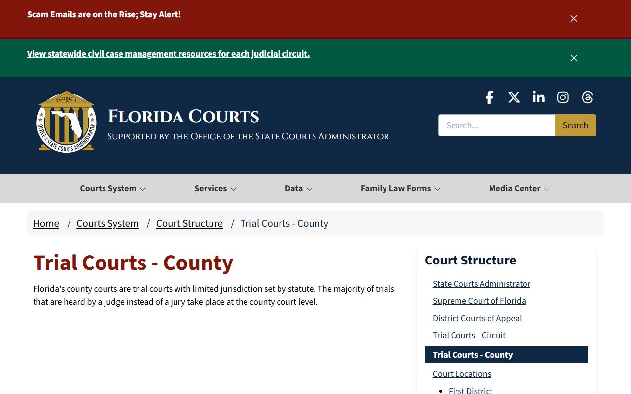 Florida county courts structure for court docket records